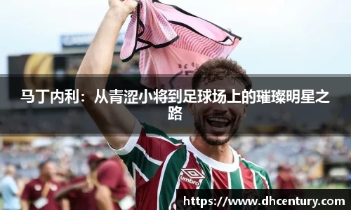 马丁内利：从青涩小将到足球场上的璀璨明星之路